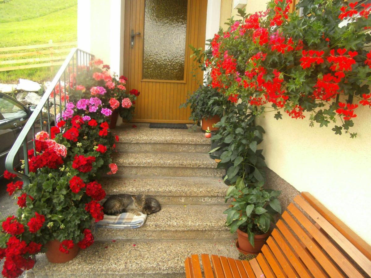 Apartamento Haus Erika Wagrain Exterior foto